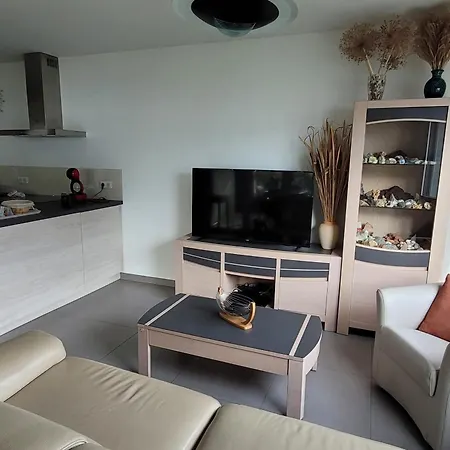 Le Tableau Du 507 - 2 Bedrooms With View Terrace Apartment Annecy